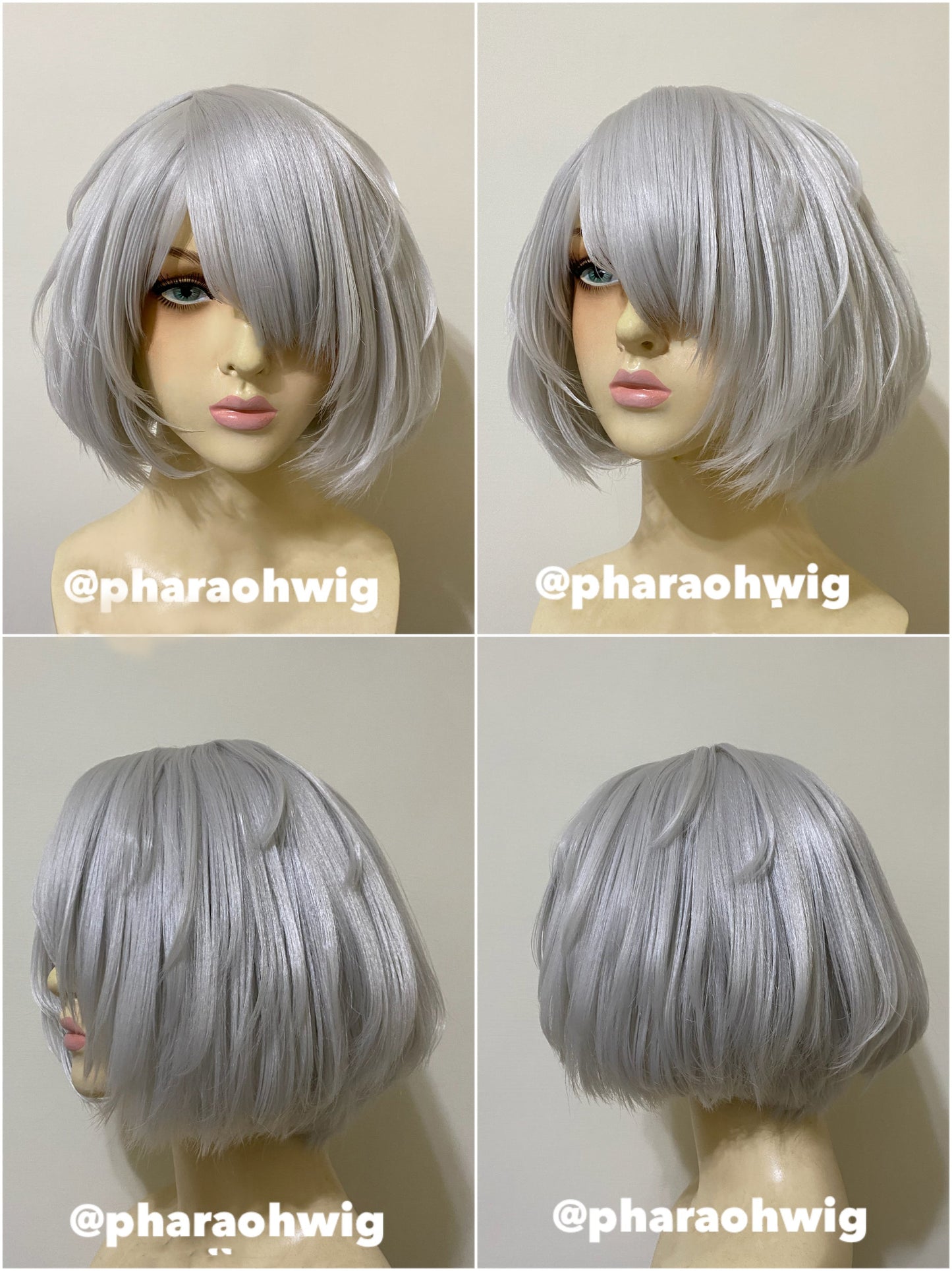 2B WIG